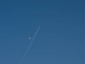 Fly me to the moon... (2)
Oops, wrong note ;-)